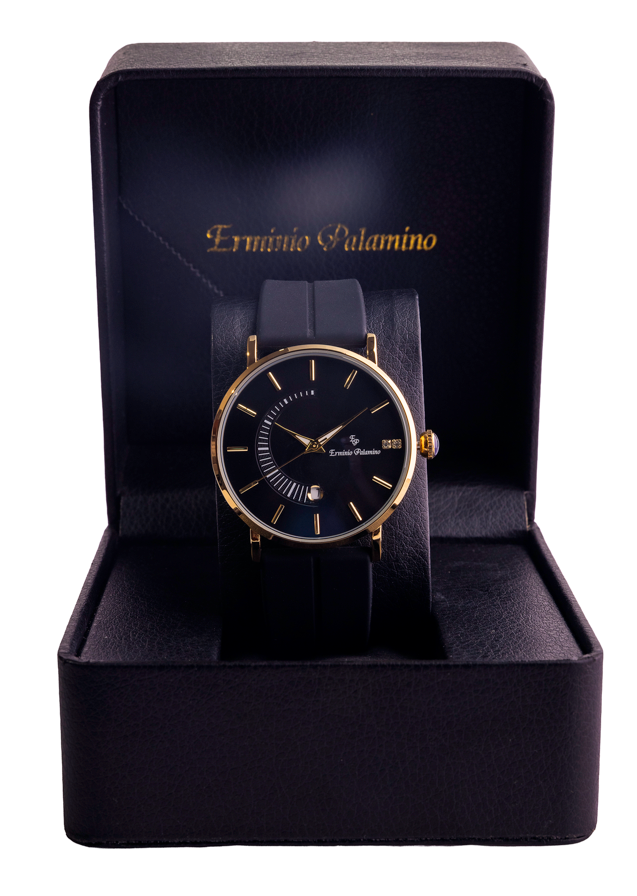 Erminio Palamino Sleek Dial Analog Men's Watch – Gold/Silver-Tone Case, Date Display, Adjustable Silicone Strap, Water Resistant