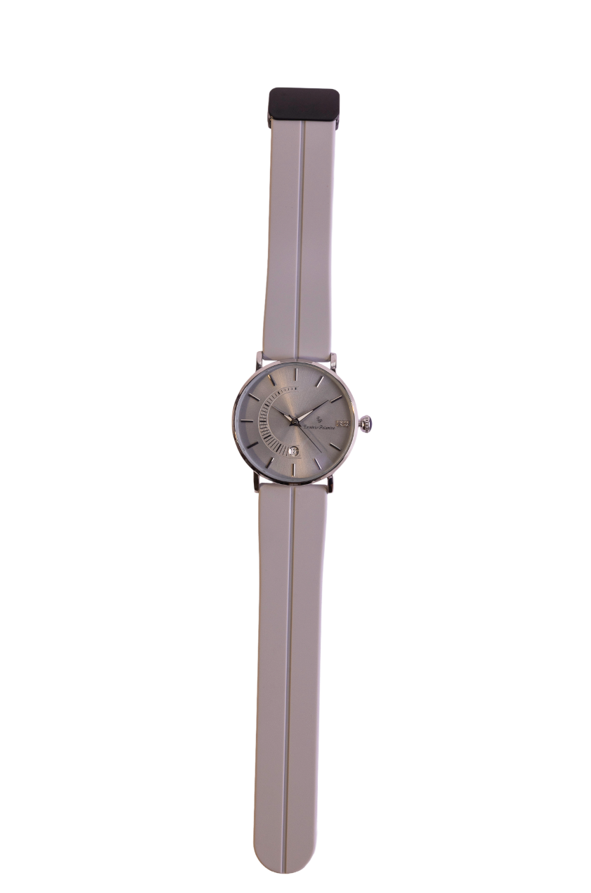 Erminio Palamino Sleek Dial Analog Men's Watch – Gold/Silver-Tone Case, Date Display, Adjustable Silicone Strap, Water Resistant