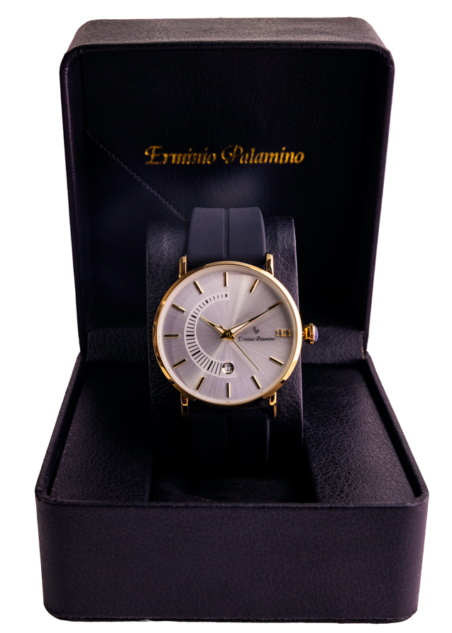 Erminio Palamino Sleek Dial Analog Men's Watch – Gold/Silver-Tone Case, Date Display, Adjustable Silicone Strap, Water Resistant