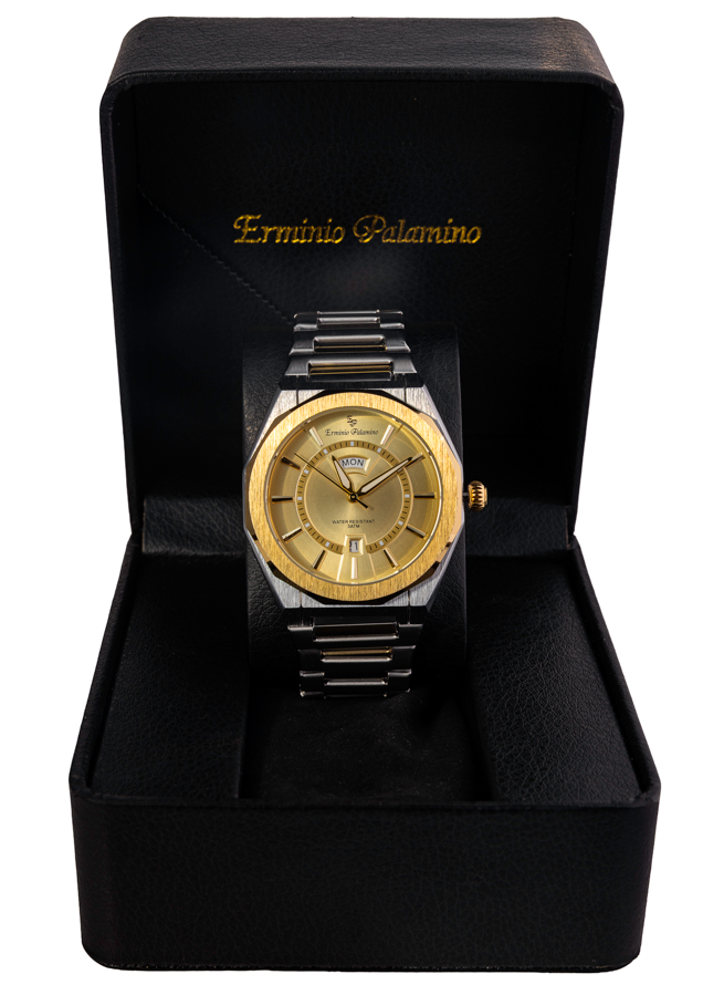 Erminio Palamino Royale Men's Luxury Watch, Two-Tone Gold and Silver, Textured Dial with Date Display, Water Resistant